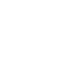 icone-valores